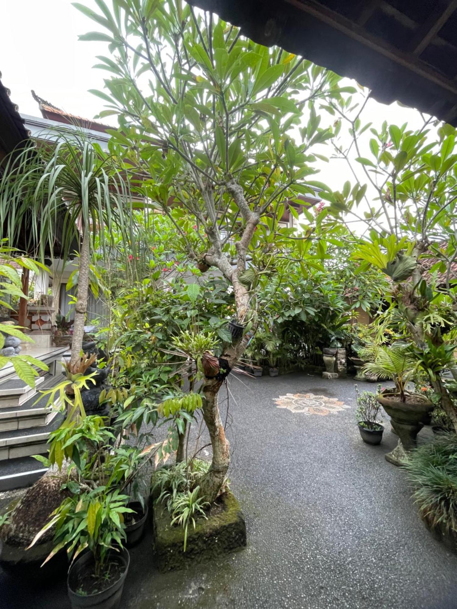 Suntari Homestay 우붓 외부 사진